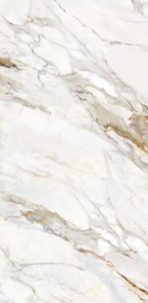 Neolith
